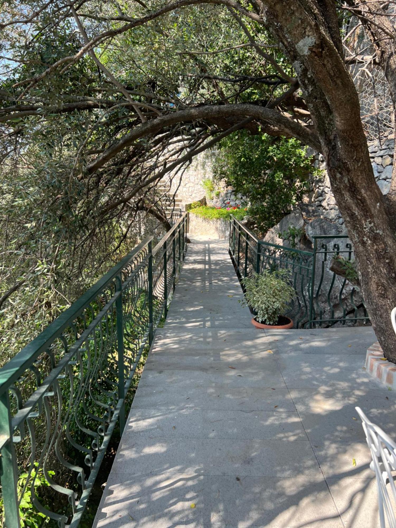 Luxury Villas Positano Eksteriør billede